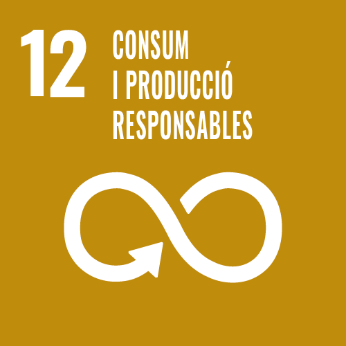 Consum i producció responsables - Objectiu 12