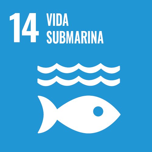 Vida submarina - Objectiu 14