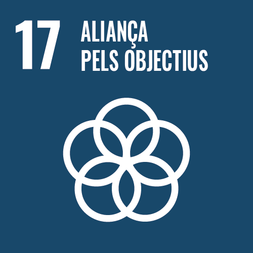 Aliances per assolir els objectius - Objectiu 17