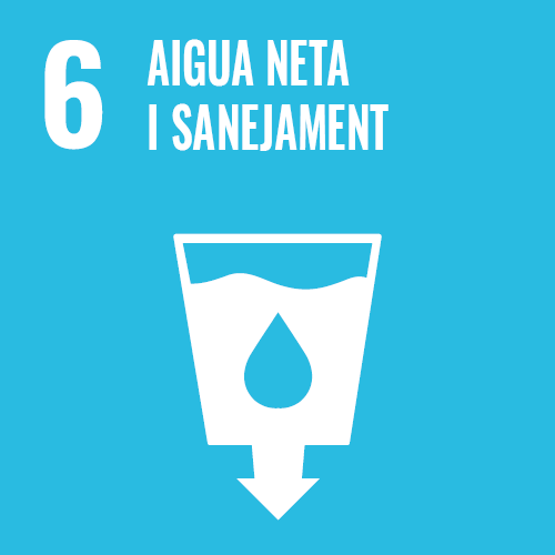 Aigua neta i sanejament - Objectiu 6