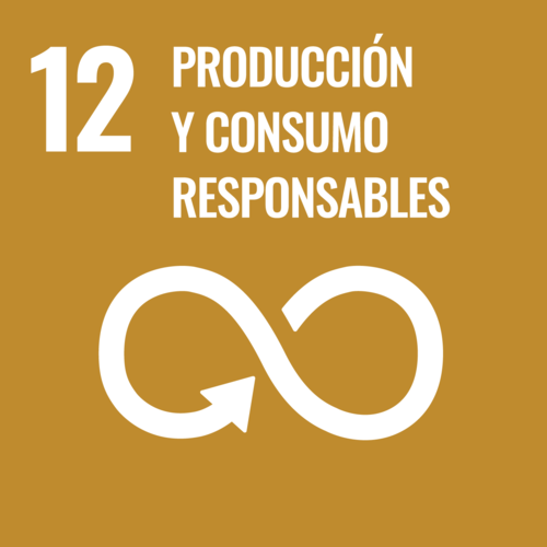 Producción y Consumo Responsables - Objetivo 12