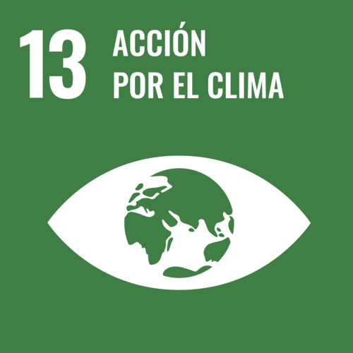 Acción por el Clima - Objetivo 13