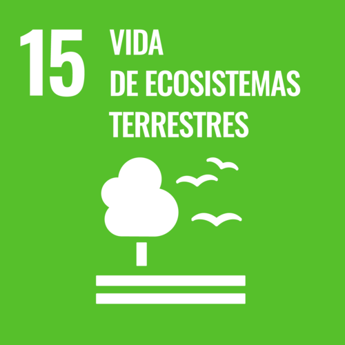 Vida de Ecosistemas Terrestres - Objetivo 15