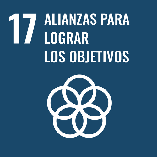 Alianzas para Lograr los Objetivos - Objetivo 17